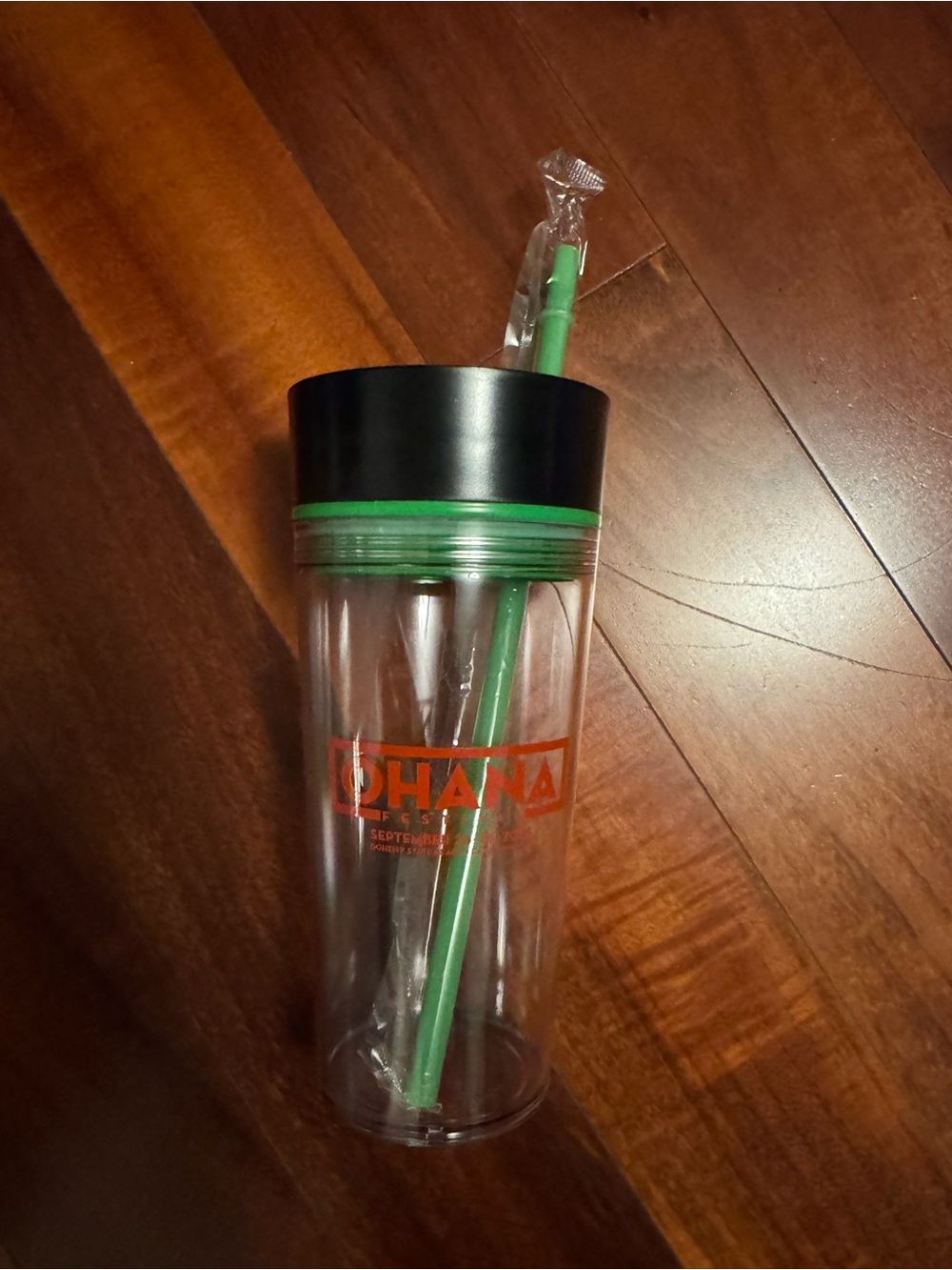 Ohana Clear Double-Wall Tumbler with Green Straw and Black Lid